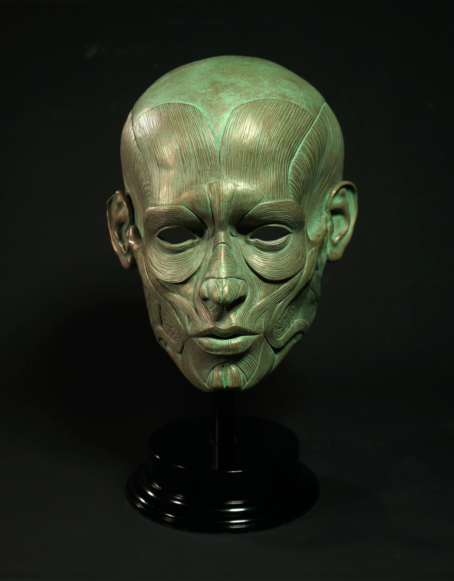 Ecorche - Bronze Display Mask (Traditional Patina)