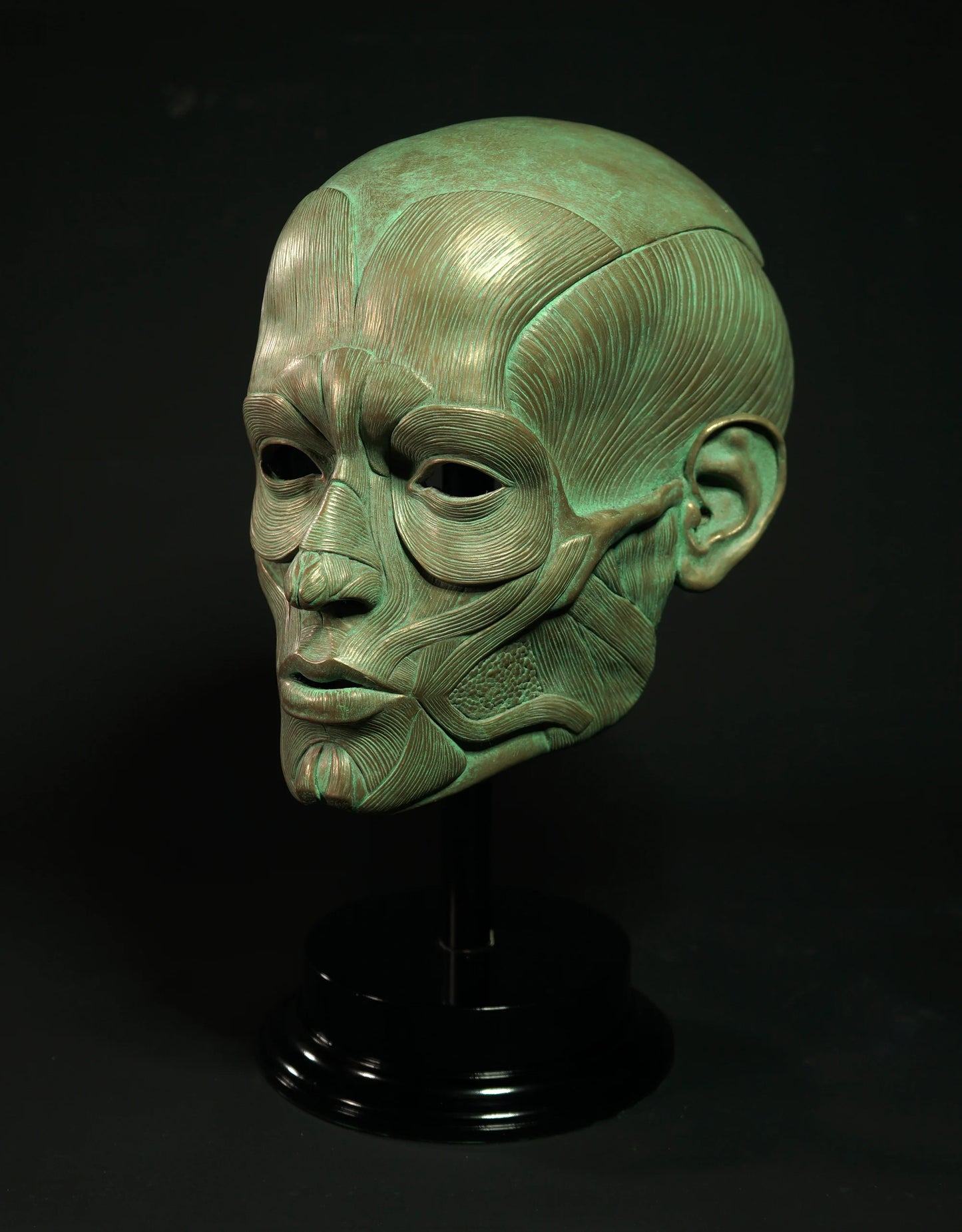 Ecorche - Bronze Display Mask (Traditional Patina)