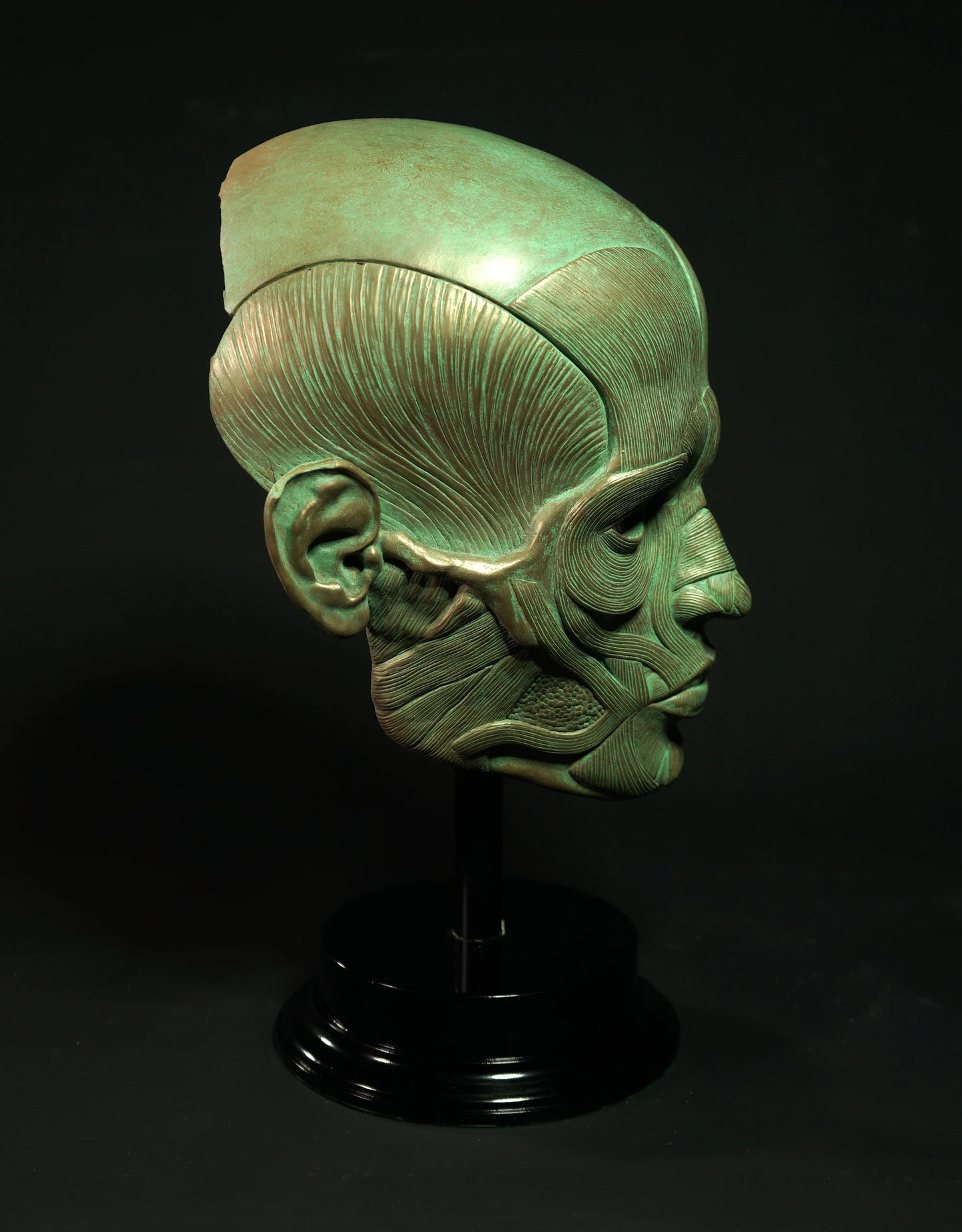 Ecorche - Bronze Display Mask (Traditional Patina)