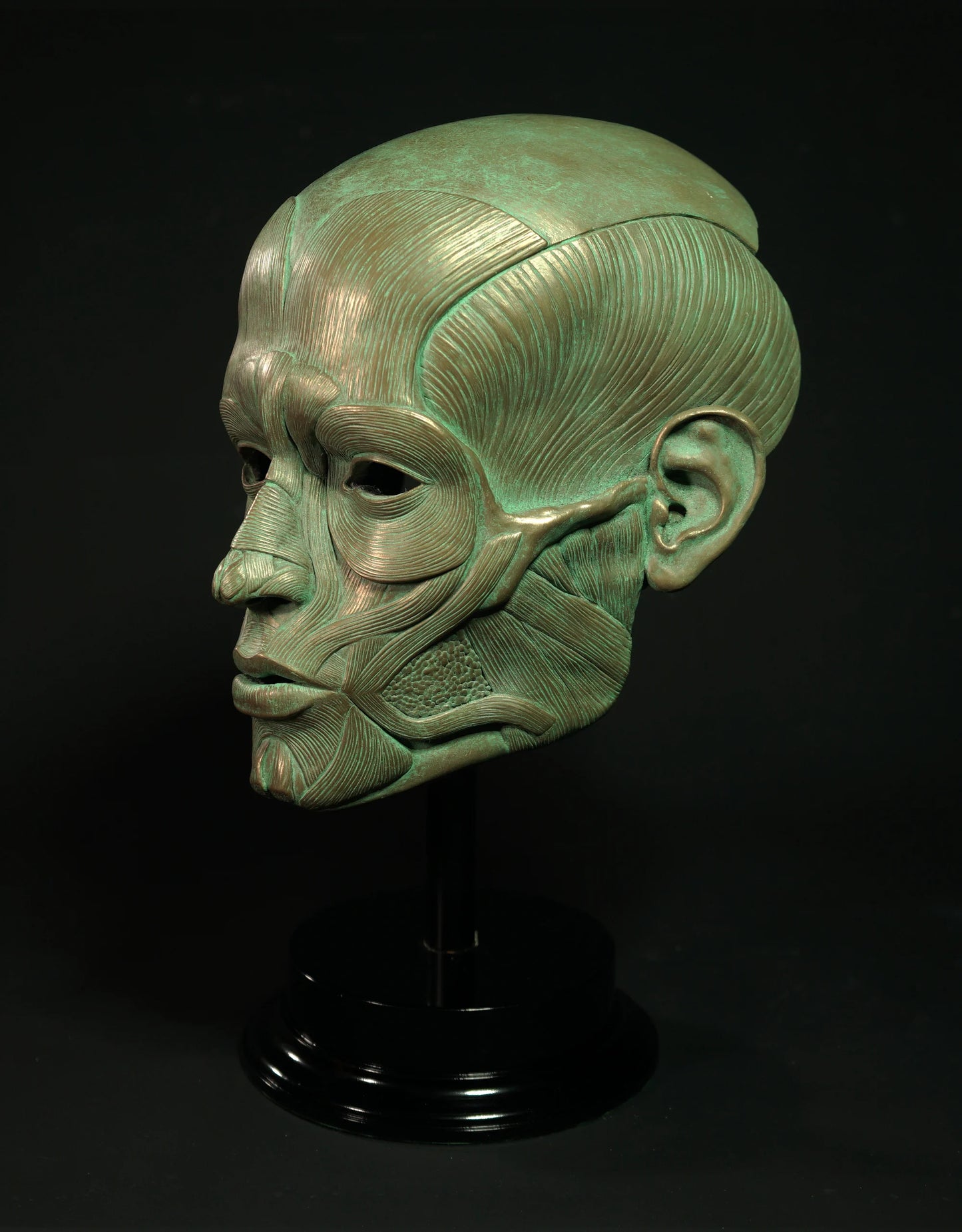 Ecorche - Bronze Display Mask (Traditional Patina)