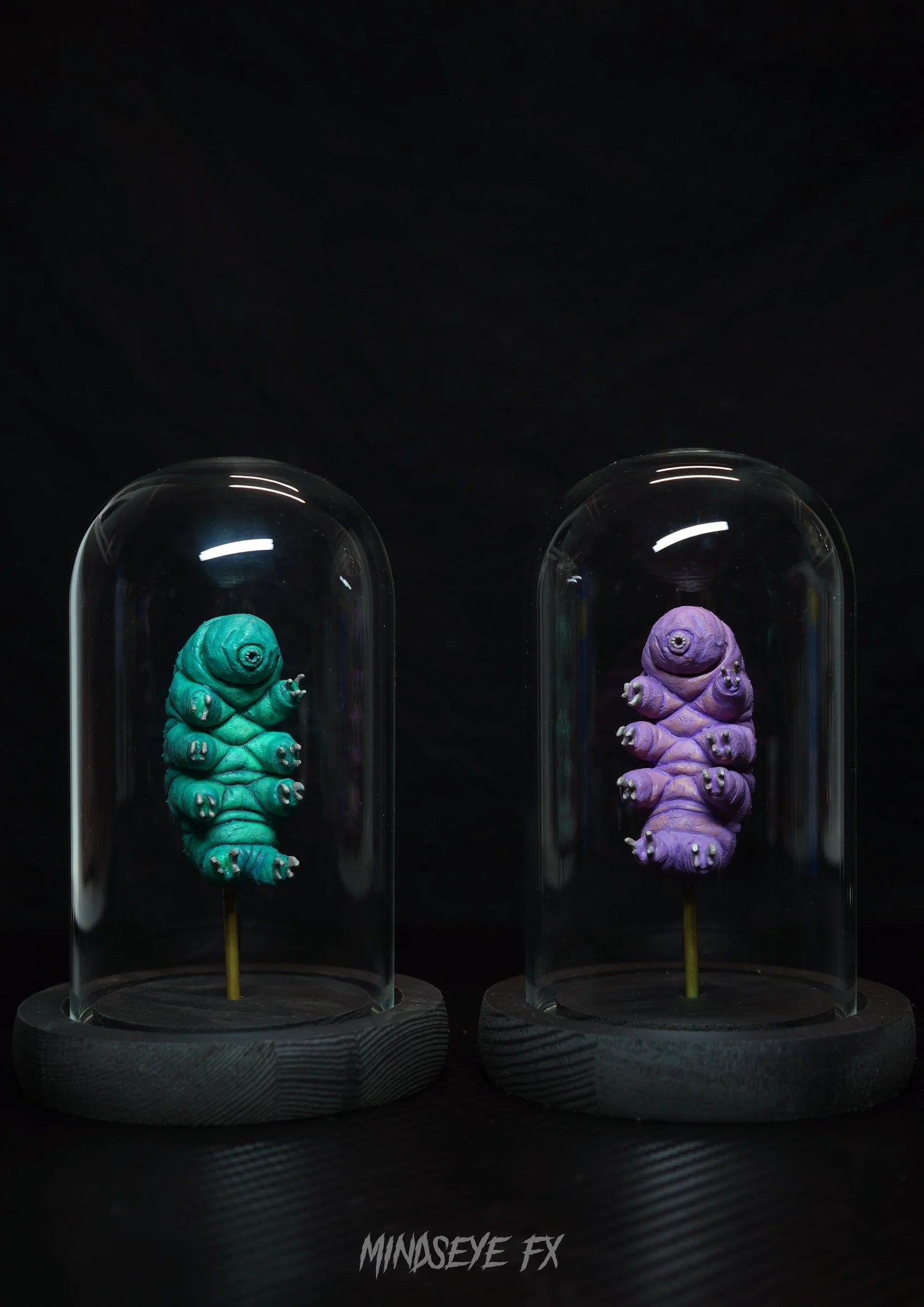 Giant Tardigrade Specimen