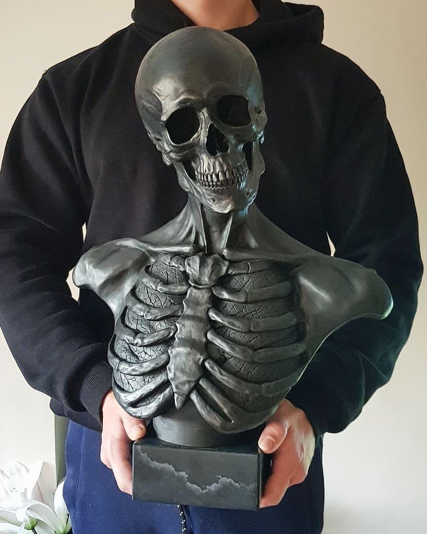 Skeletal Anatomy Bust - My Store