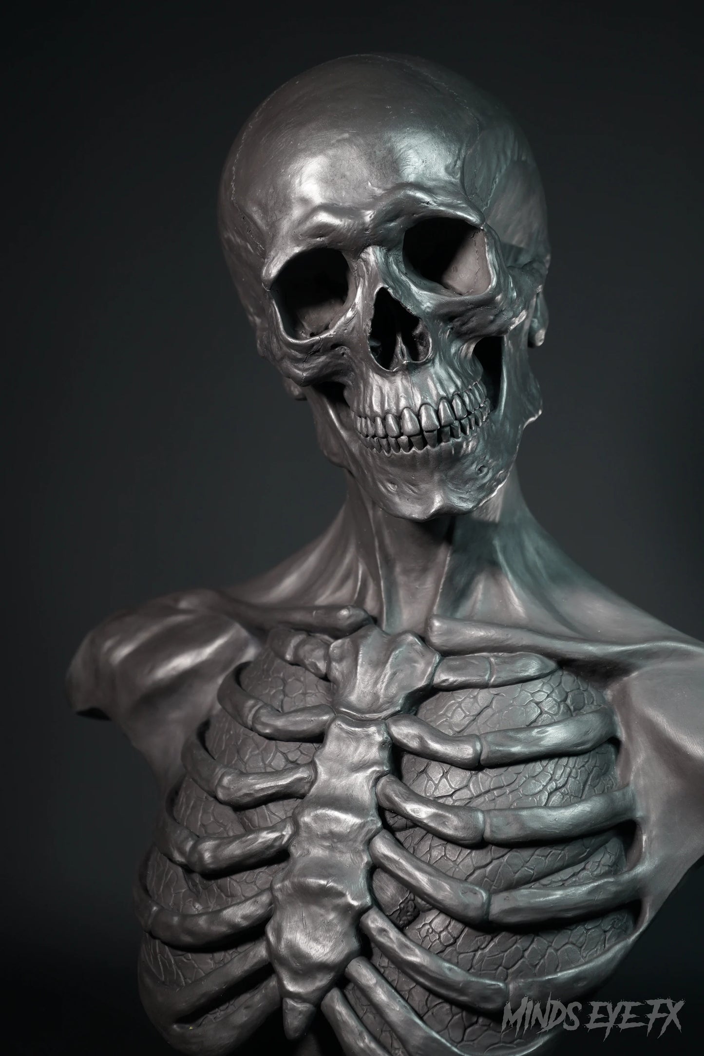 Skeletal Anatomy Bust