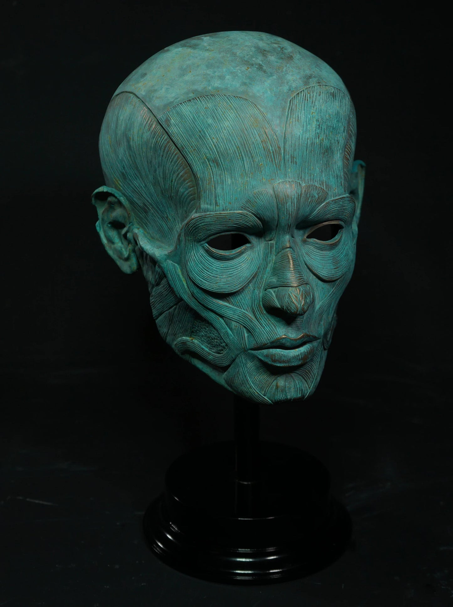 Ecorche - Bronze Display Mask (Traditional Patina)