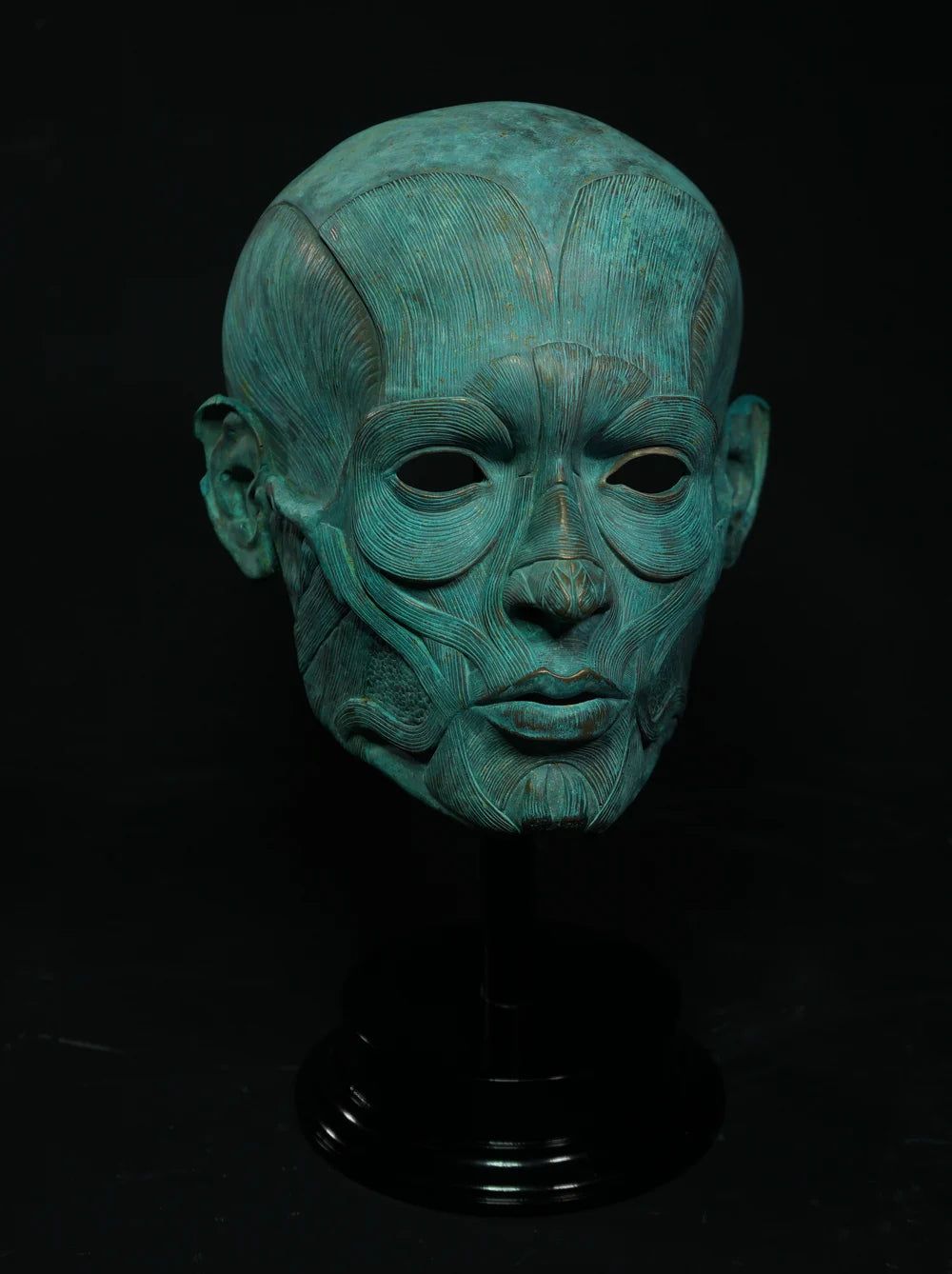 Ecorche - Bronze Display Mask (Traditional Patina)
