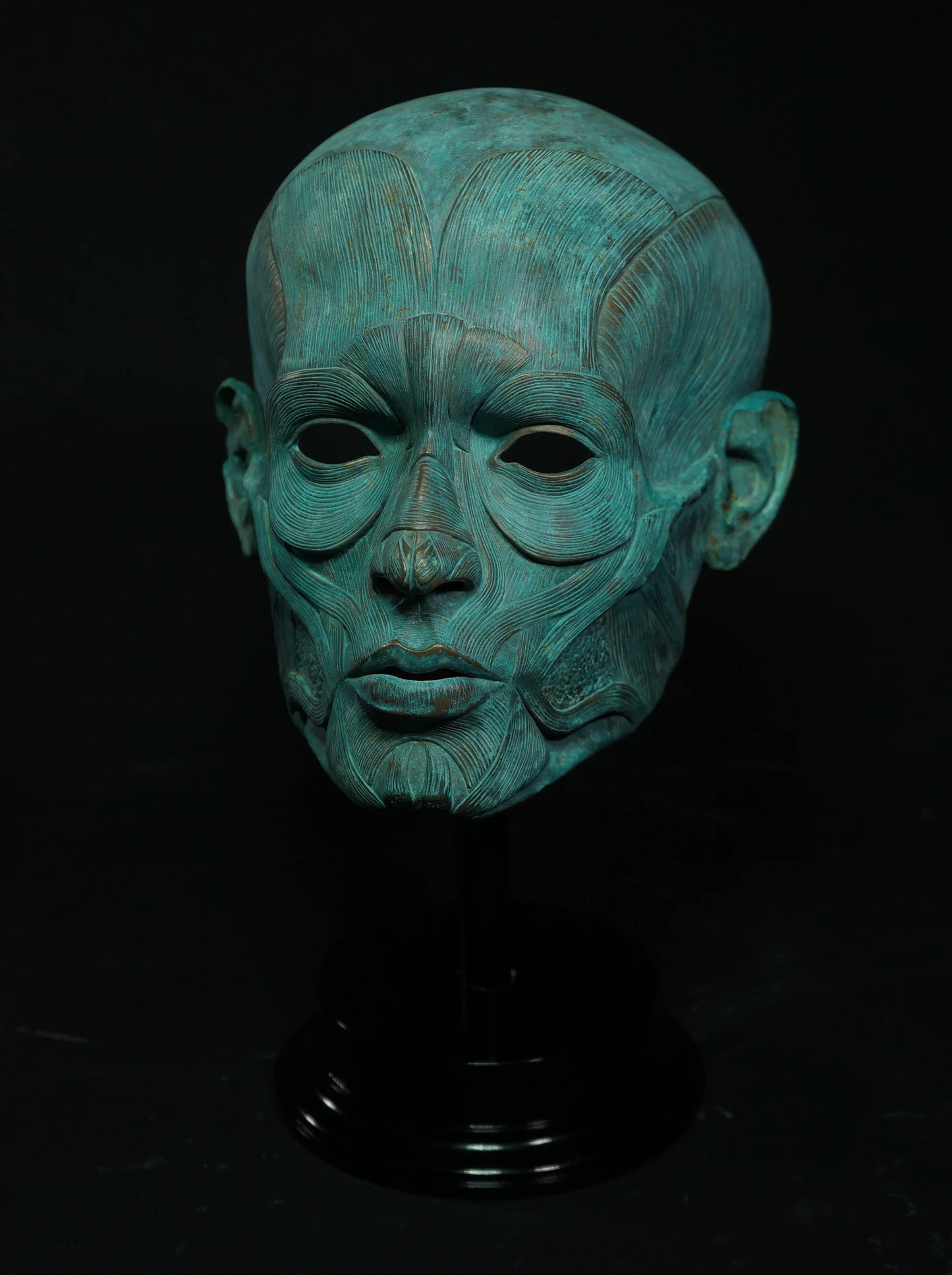 Ecorche - Bronze Display Mask (Traditional Patina)