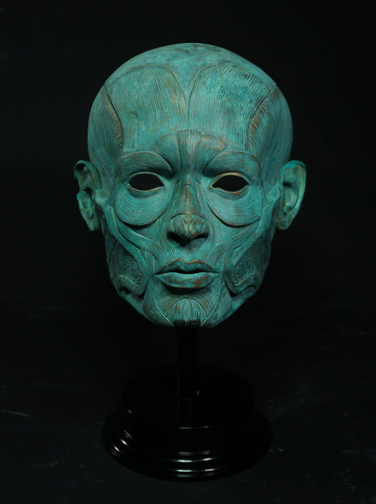 Ecorche - Bronze Display Mask (Traditional Patina) - My Store