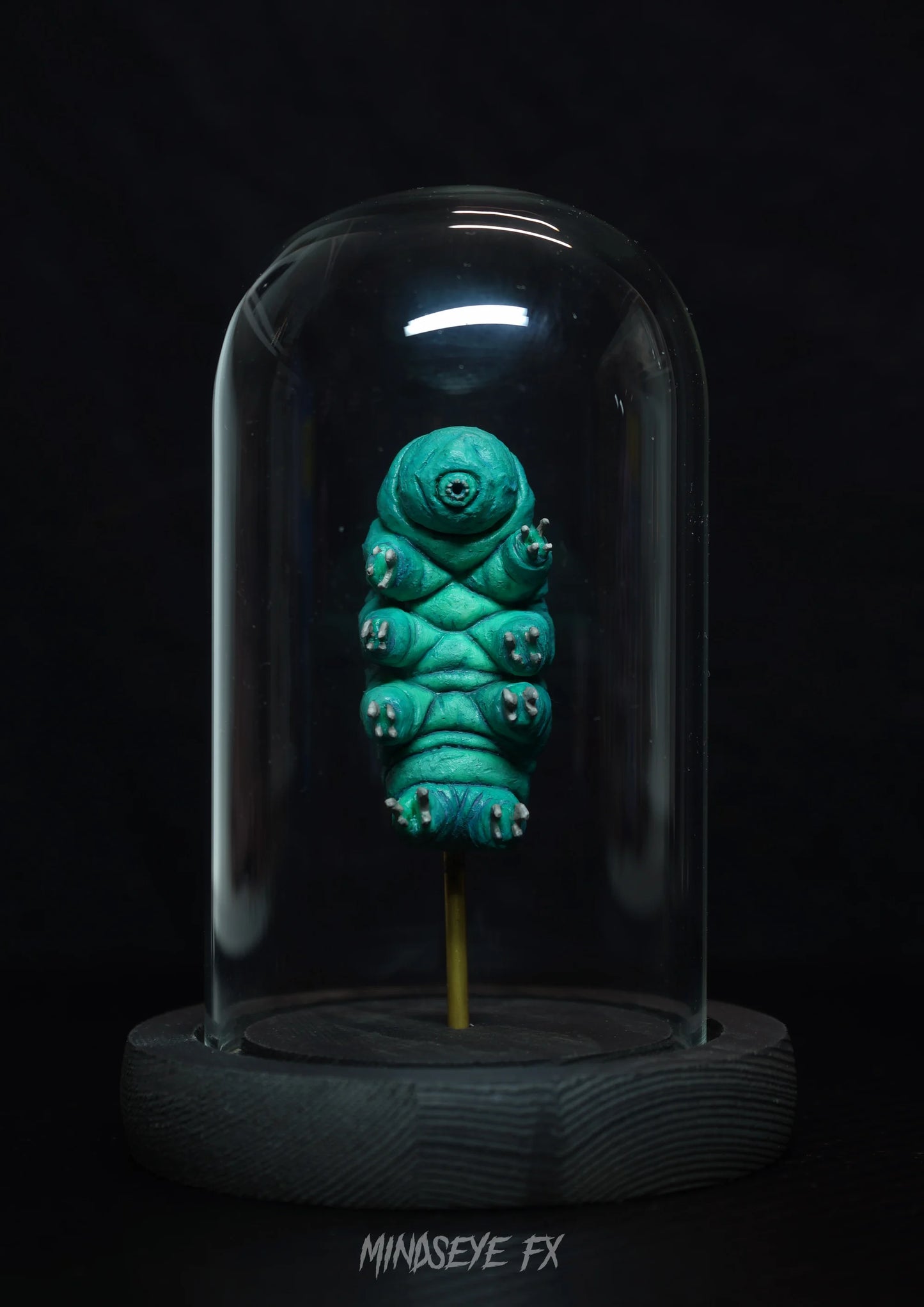 Giant Tardigrade Specimen