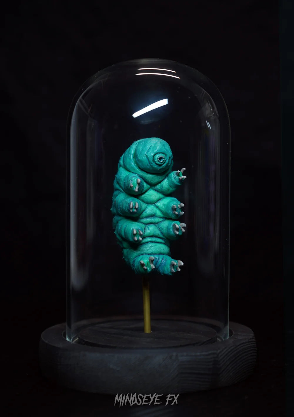 Giant Tardigrade Specimen