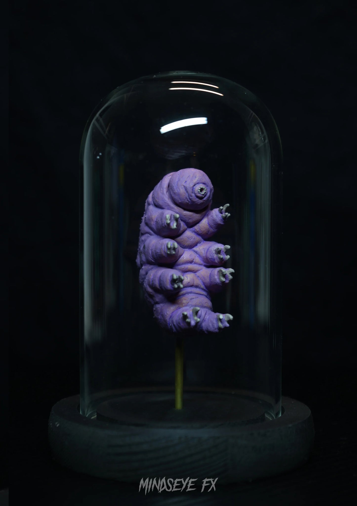 Giant Tardigrade Specimen