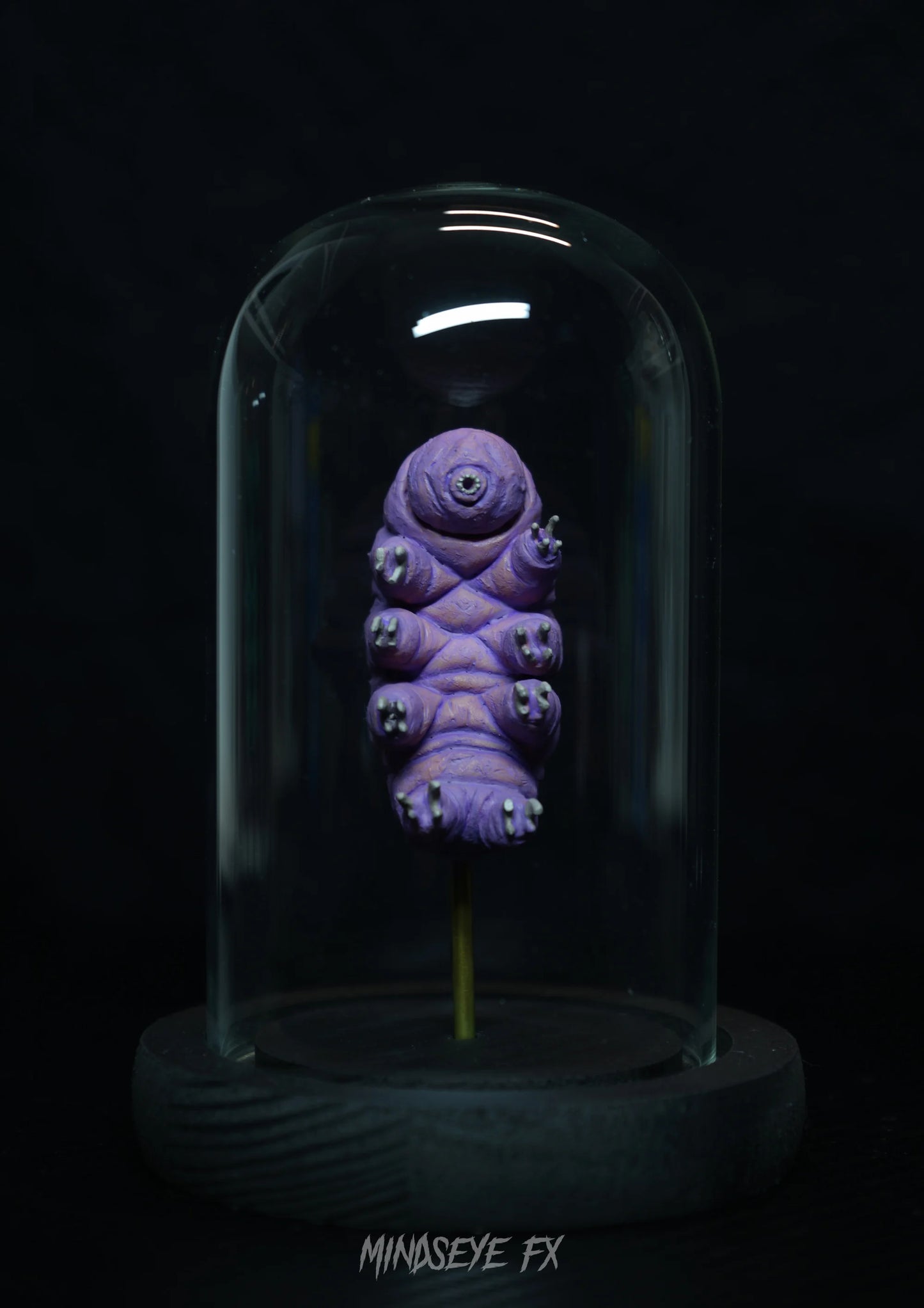 Giant Tardigrade Specimen